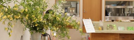 オーガニック社食でSDGs! 二人の栄養士のミートフリー奮闘記 レシピ付き 後半